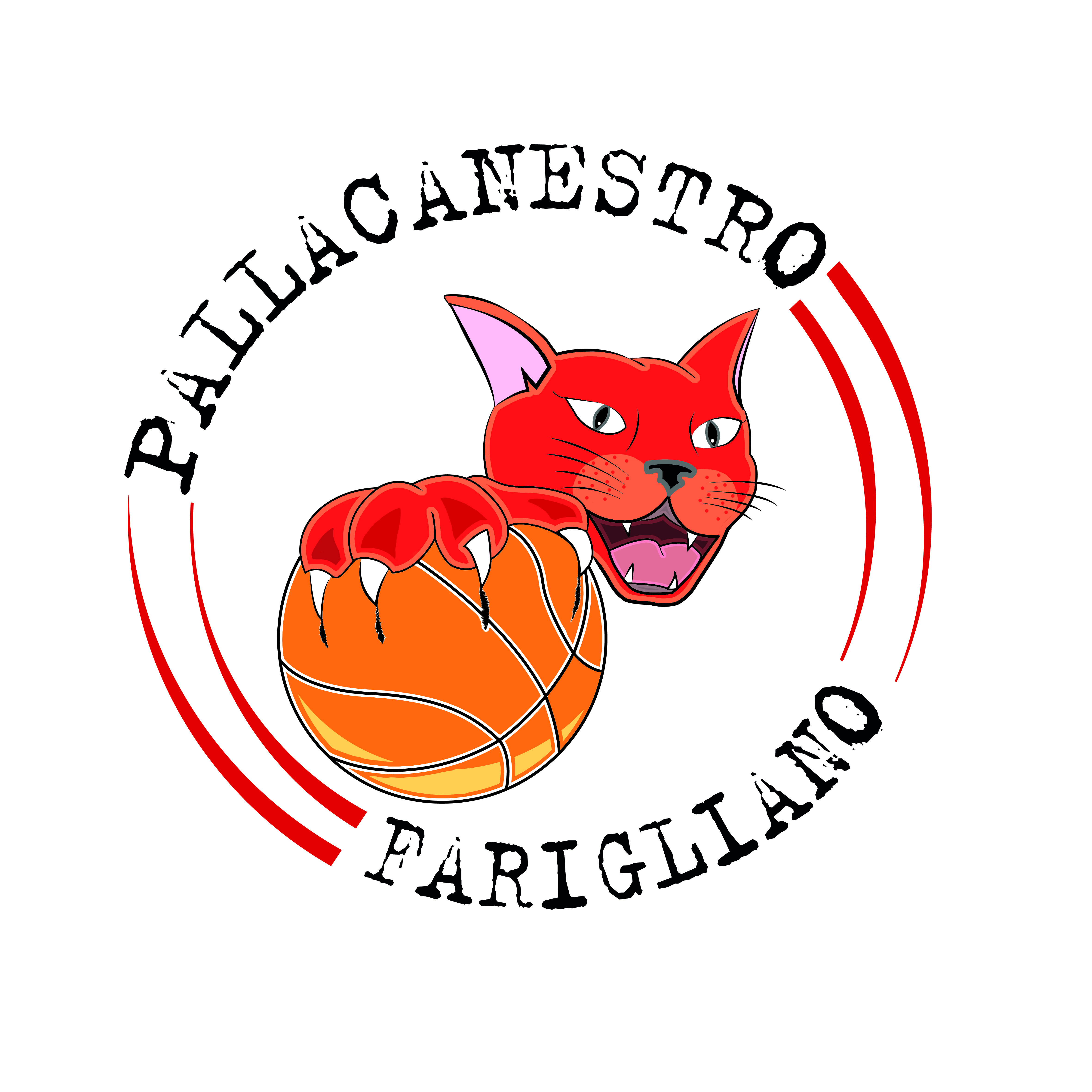 <strong>Pallacanestro Farigliano
</strong>