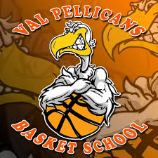 <strong>Val Pellicans Basket School
</strong>