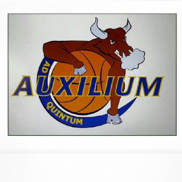 <strong>Auxilium ad Quintum
</strong>